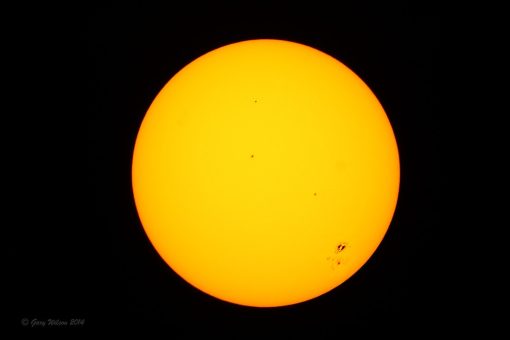 Seymour Solar Filter Pair for XL Series - Image 2