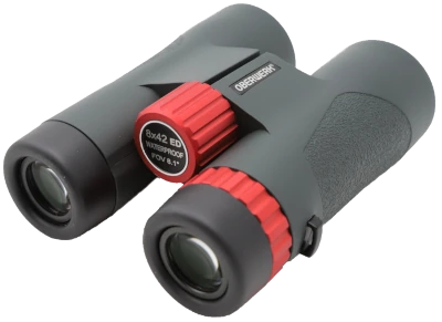 Oberwerk Sport ED